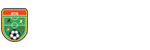 世界杯决赛直播